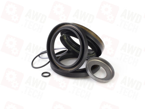 Kit di tenuta (per W61G)