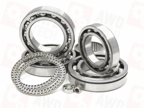 Bearing Kit (for ATC450)