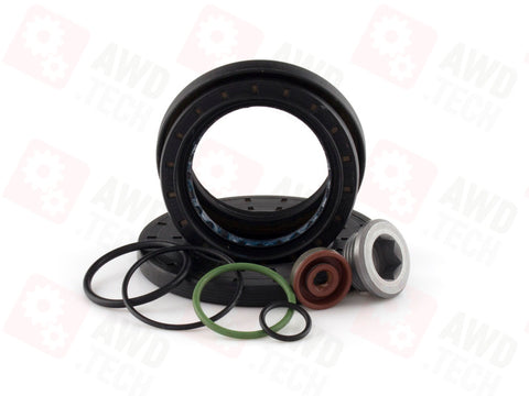 Dichtungssatz (für Maserati ATC)