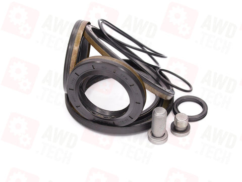 Dichtungssatz (für MFA RDM)