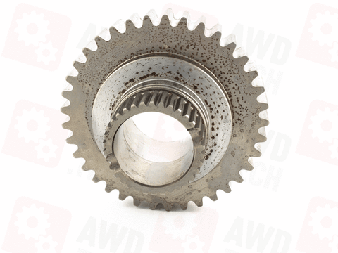 Pignone (dimensione 1