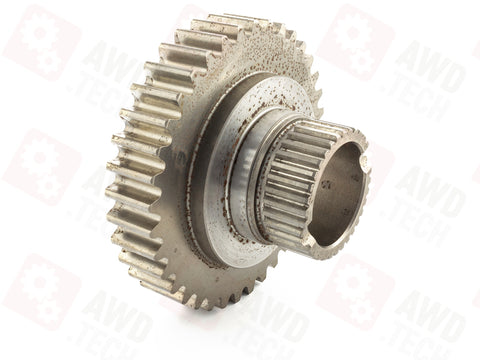  Pignone (dimensione 1